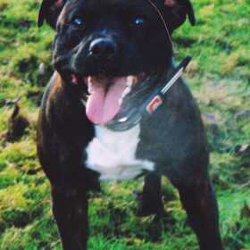 Buck v.d Maarsas 17 augustus 1999 - 13 maart 2004