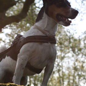 I rule the world!
