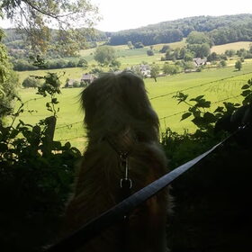 Joey geniet van het uitzicht in Zuid Limburg :)