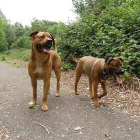 Spikey en Nino (8)