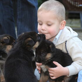 lekker puppyzoenen