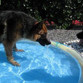 klein beetje waterpret :)
