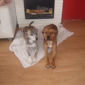 Mamma en Pappa Rufus