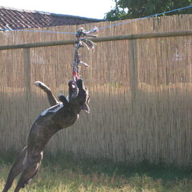 Jump!