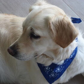 Met haar nieuwe sjaaltje ! schattig!