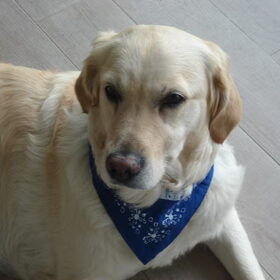 Ben ik niet lief! ?