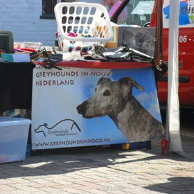 mooie poster van ginn