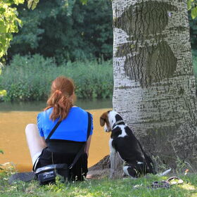 Hondenfoto van team Shadow