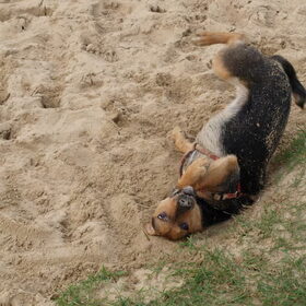 Wat lekker ..dat zand