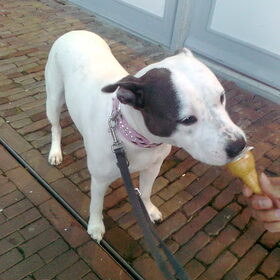 lekker ijsje banaan