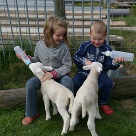 een 3-ling , 2 ervan de fles moeten geven