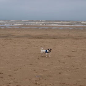 De zee.