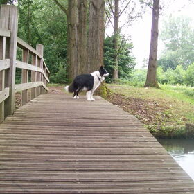 Over brugje lopen..