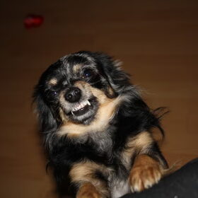 Even lachen naar de camera haha