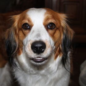 eerste foto's met mijn canon 500D