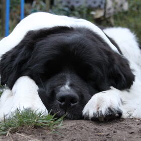 eerste foto's met mijn canon 500D