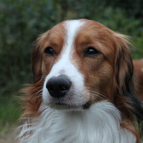 eerste foto's met mijn canon 500D