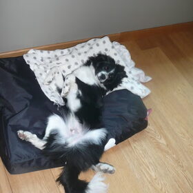 monsterke aan het maffen =)