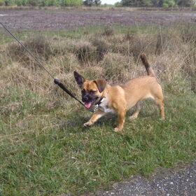Lekker wandelen in Friesland