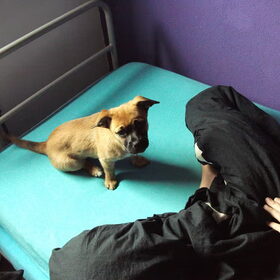Op het bed