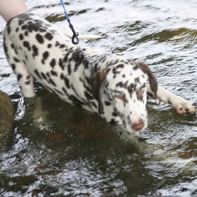 water spelen