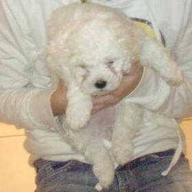 Baby Nousya (7weken)