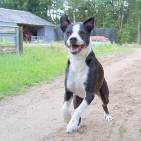Onze blije gup Spike!