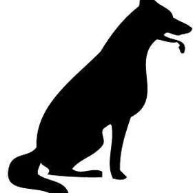 Hondenfoto van Hondenhumor Sasja de Eerste ITC-Hond die nu met pensioen is.