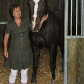 Hondenfoto van liesbeth,Turbo,Luna, Levi en Faith