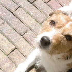 dit is ons prinsesje taicko... ze is 8jr.