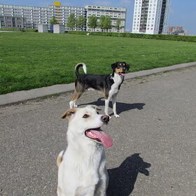 Sita en Sefa