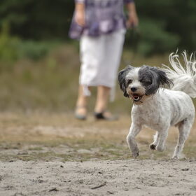 Turbo van Liesbeth