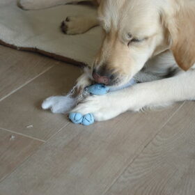 Tess , met een oud speelgoedje ;p