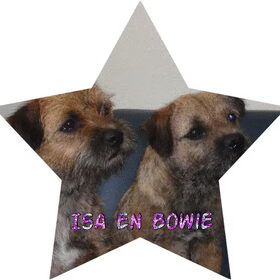 Hondenfoto van MaSpi///