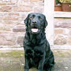 Vakantie huis 2005
