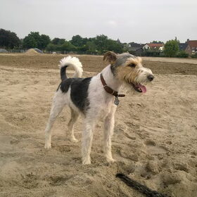 Florisje