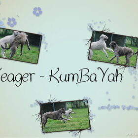 Y&KBY