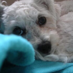 Wanna sleep