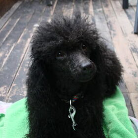 hey!!!!!!!that's me,woopy