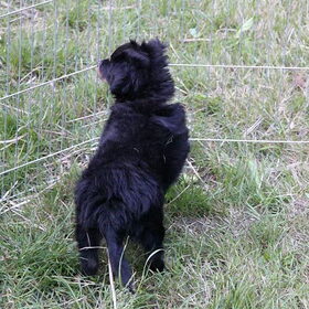 Sam 12 weken en kamperen :-)