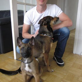 me vriend met de honden