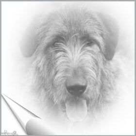 Yeager