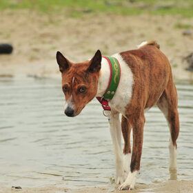 Yebo houd niet zo van water....:-(