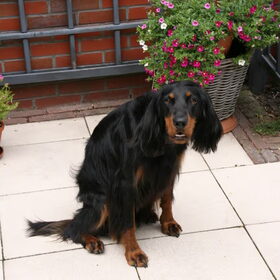 Na de kapper