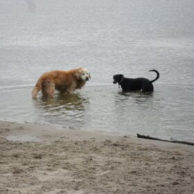 samen badderen