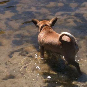 lekker pootje baden