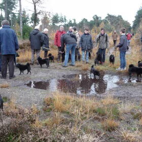 De schipperkes-snertwandeling in november