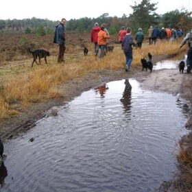 Joep tijdens de schipperkeswandeling in januari