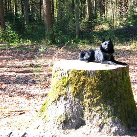 even uitrusten van de lange wandeling