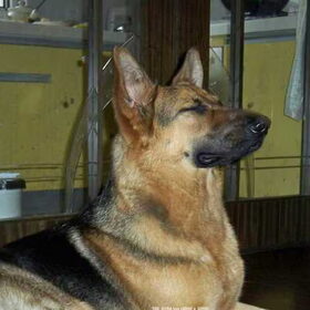 Hmmmm...The smell of the kitchen